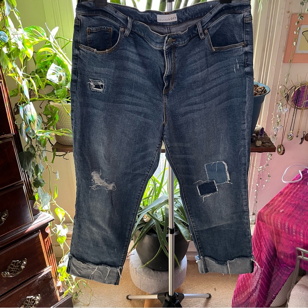 LOFT Classic Blue Denim Jeans